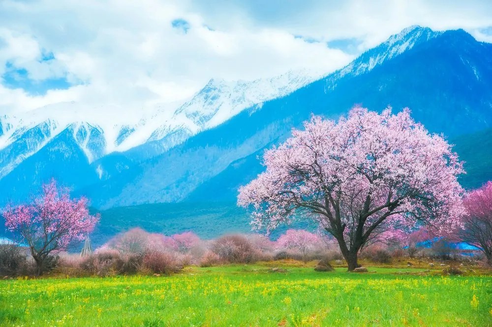Carta da parati – Albero magico tra le montagne