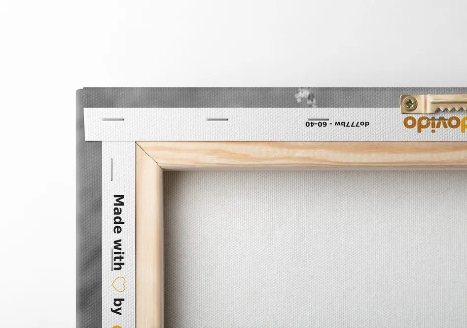 Stampa su tela – Garofano romantico in stile vintage in bianco e nero