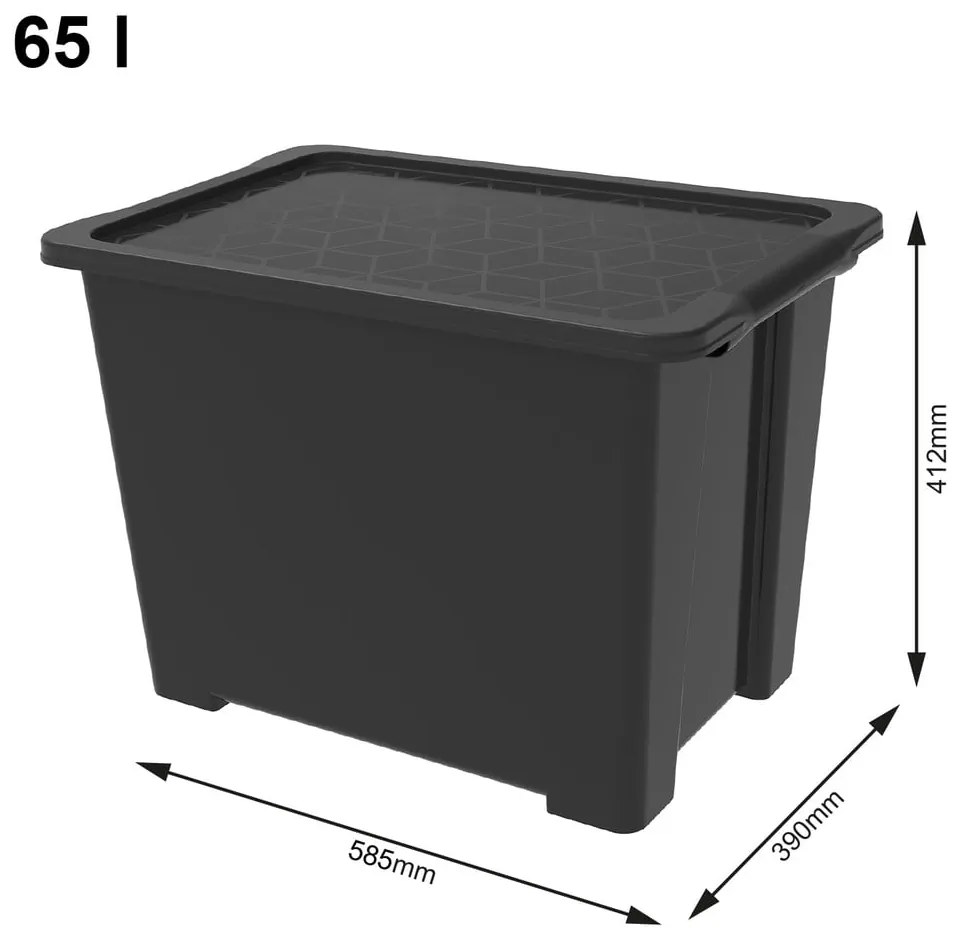 Scatola di plastica con coperchio Evo Easy - Rotho