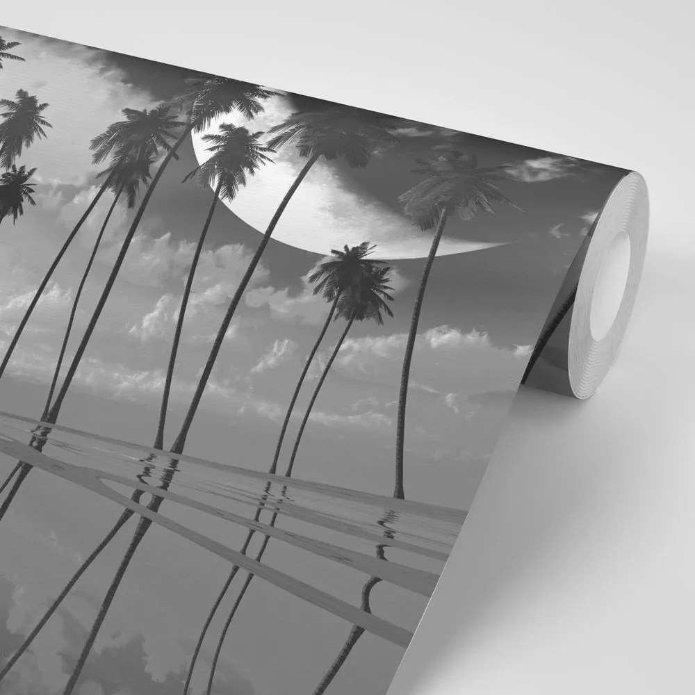Carta da parati – Palme tropicali in bianco e nero