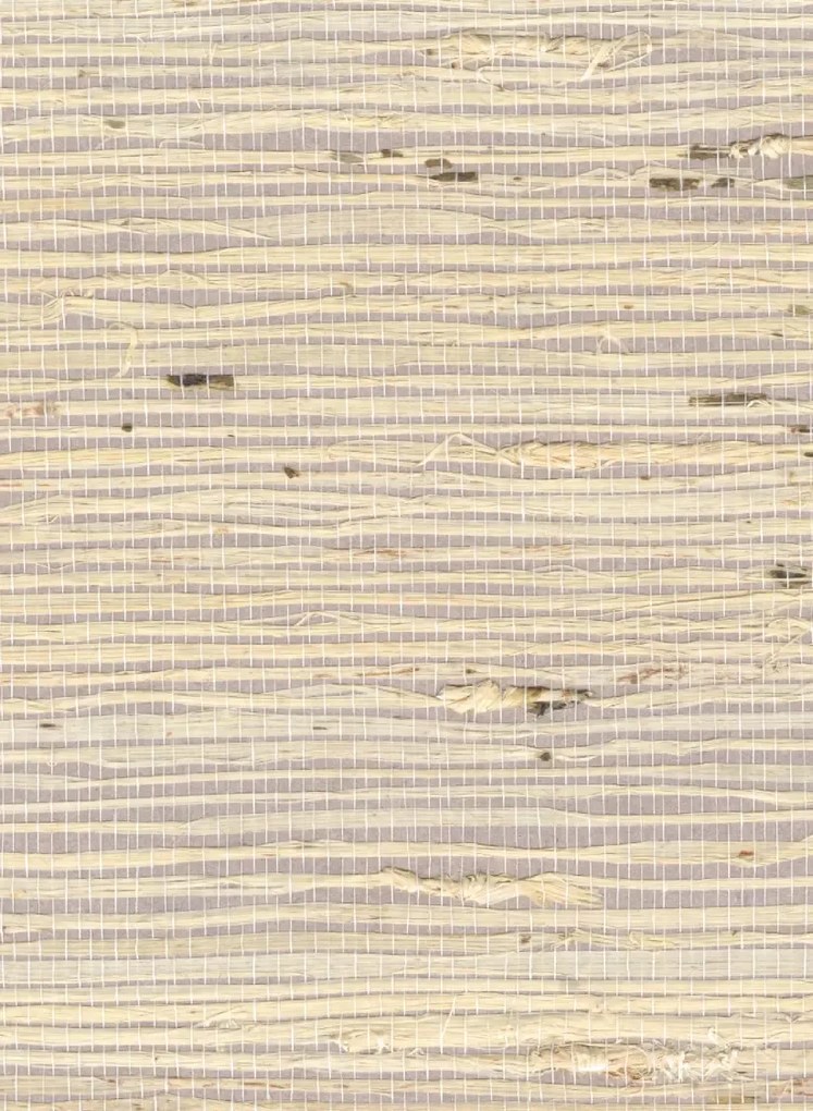 Élitis Carta da parati Grasscloth - RM 1083 03