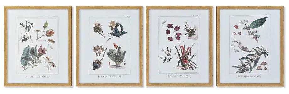 Quadro DKD Home Decor Tela Piante botaniche (4 pezzi) (43 x 3 x 53 cm)