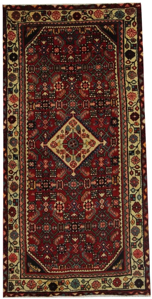 Hamedan Tappeto 80x170 (Iran)