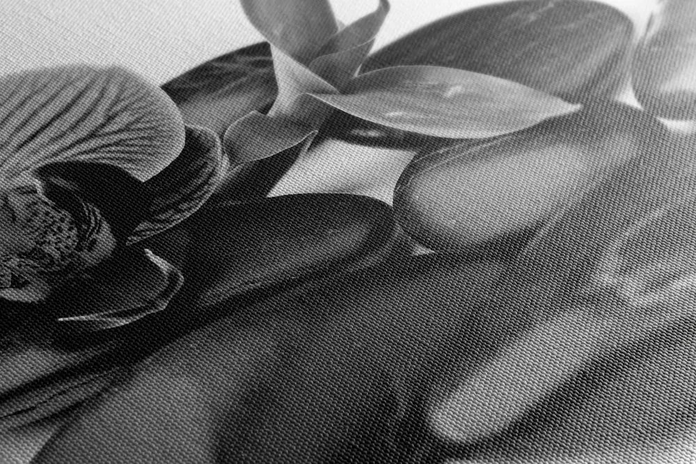 Stampa su tela – Pietre per il benessere massaggio in bianco e nero