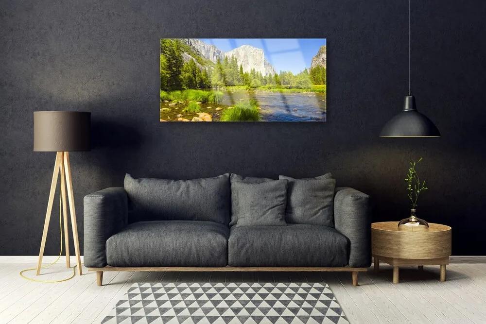Quadro acrilico Natura della foresta della montagna del lago 100x50 cm