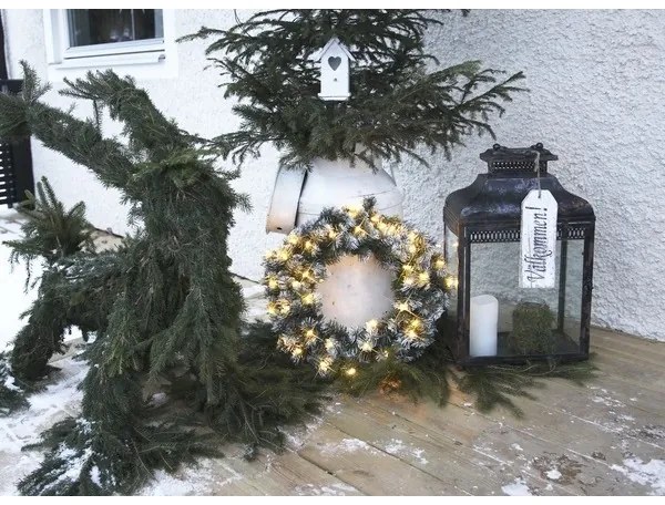 Eglo 410932 - Ghirlanda natalizia LED da esterno EDMONTON 30xLED/0,064W/3/230V IP44