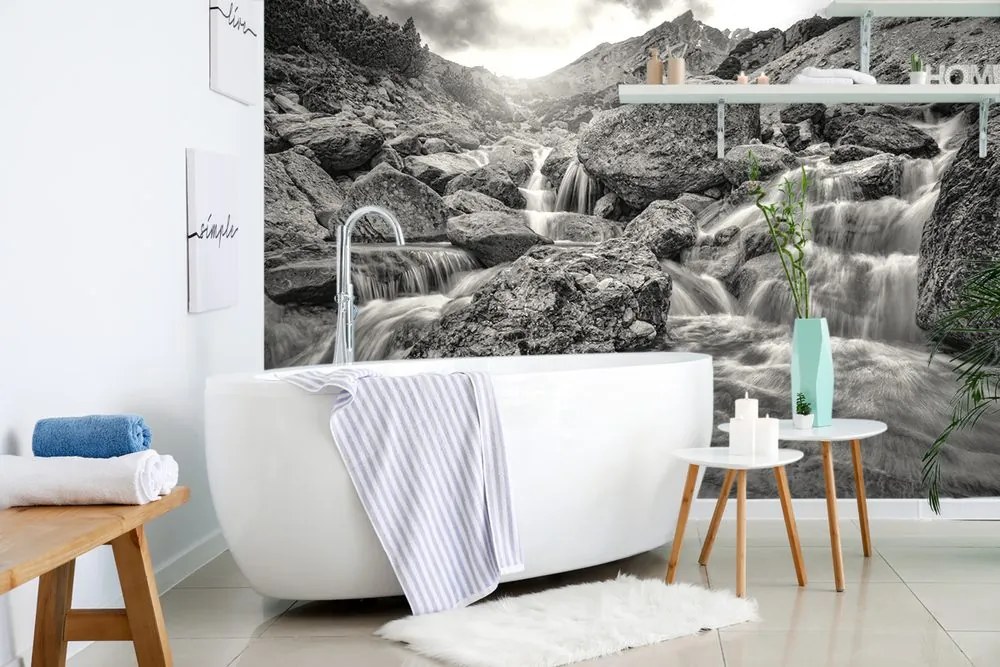 Carta da parati autoadesiva – Cascate alpine in bianco e nero