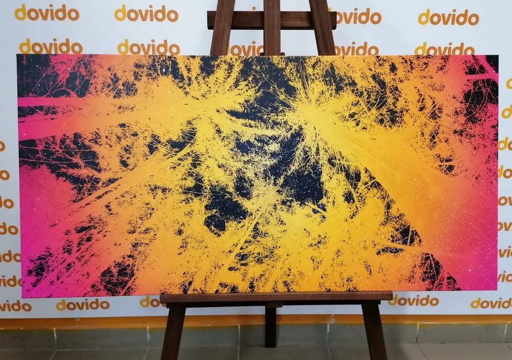 Quadro su tela – Tramonto nella foresta tropicale