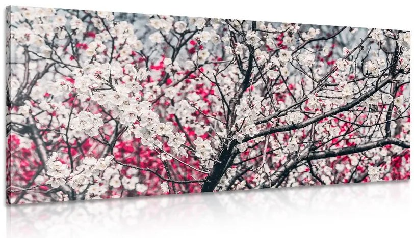 Quadro su tela – Fiori di pesco