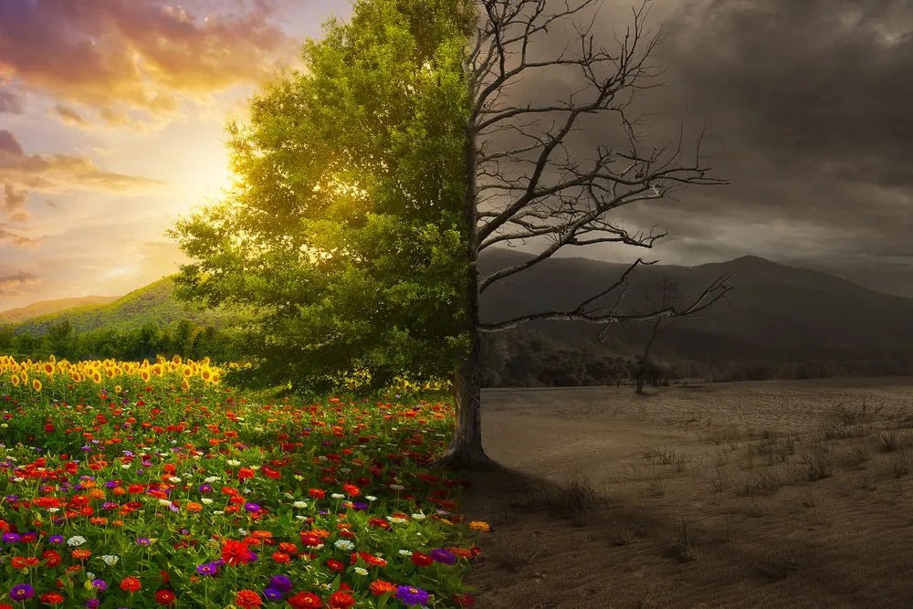 Stampa su tela – Due aspetti dell'albero
