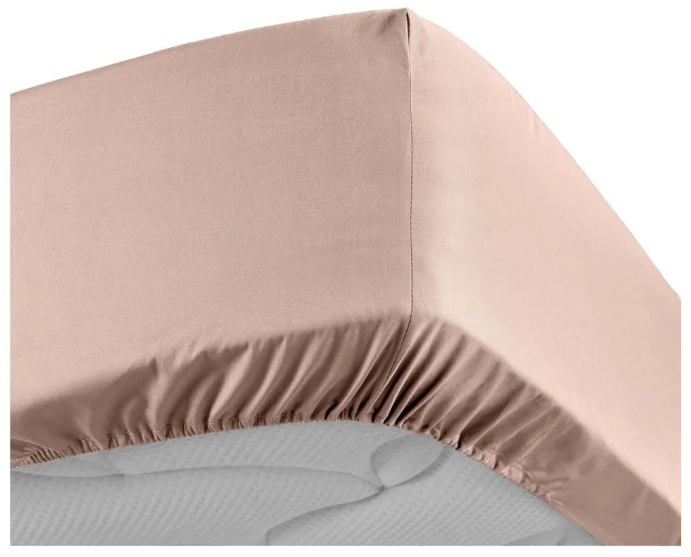 Lenzuolo rosa in percalle di cotone elasticizzato 180x200 cm Percaline - douceur d'intérieur