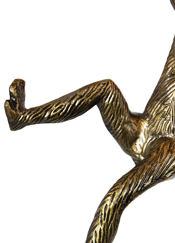 Applique da parete scimmia dorata - Animal Monkey