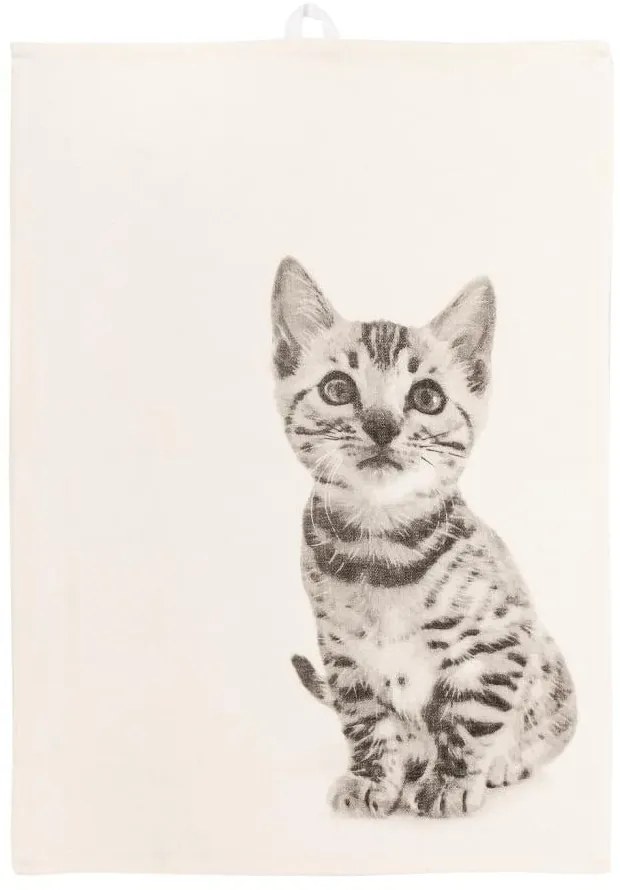 Asciugamano in cotone 70x50 cm Farm - Tiseco Home Studio