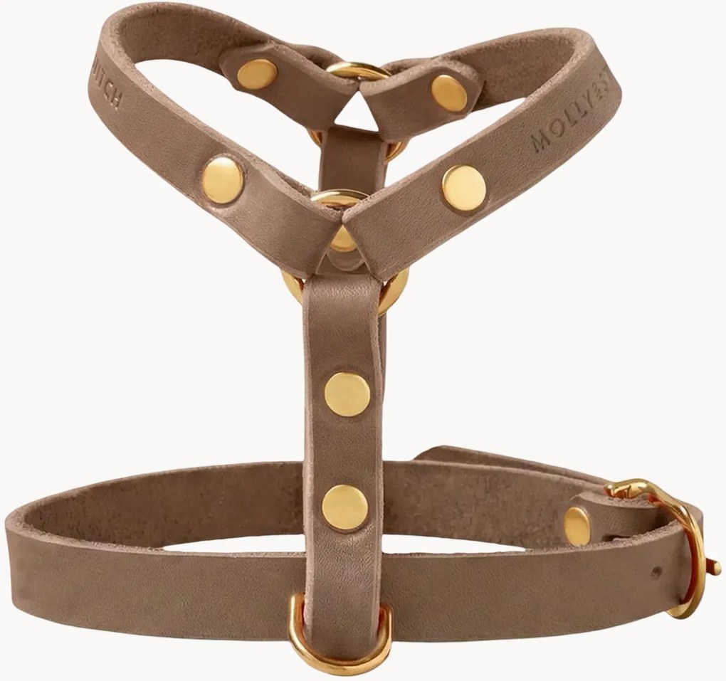 Imbracatura per cani in pelle Y-Harness, varie misure