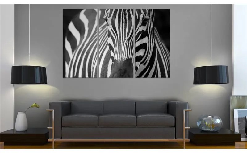 Quadro Signora zebra  Colore bianco e nero, Dimensioni e Misure 120x80