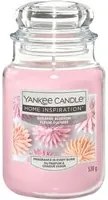 Sugared Blossom, candela in giara grande Yankee Candle