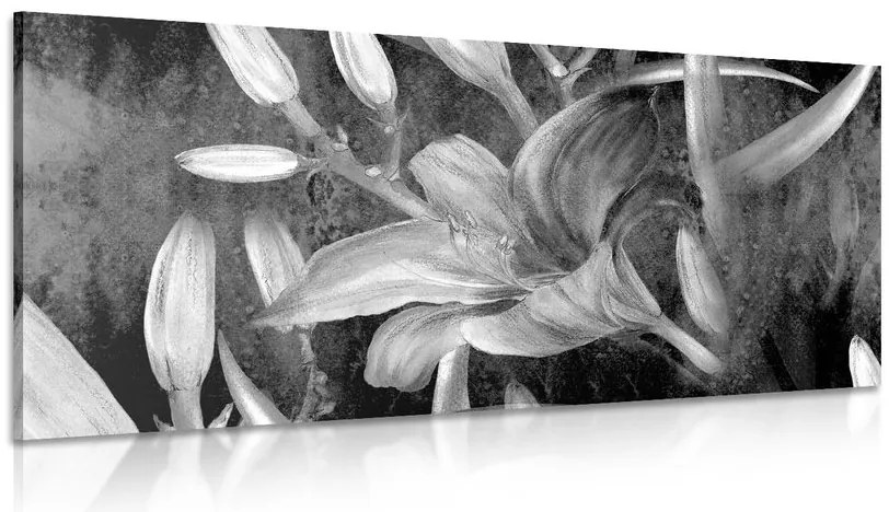 Quadro su tela – Fioritura di giglio in bianco e nero