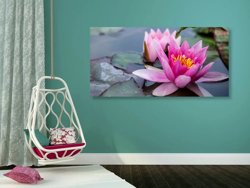 Quadro su tela – Fiore di loto rosa
