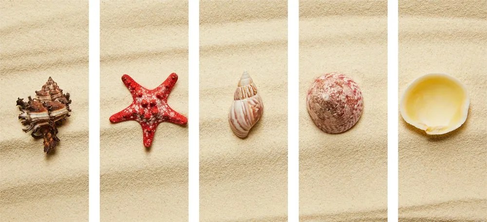 Quadri 5 pezzi – Conchiglie sulla spiaggia sabbiosa