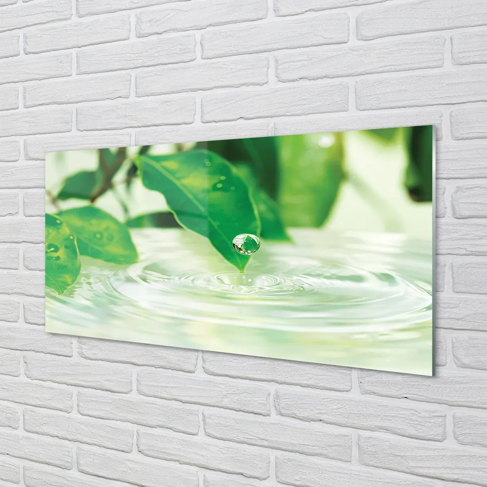 Quadro in vetro Gocce di foglie acqua 100x50 cm