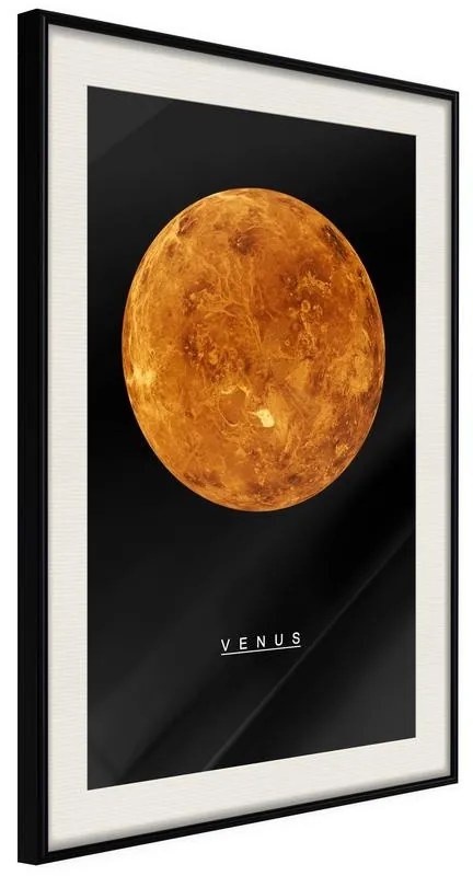 Poster The Solar System: Venus