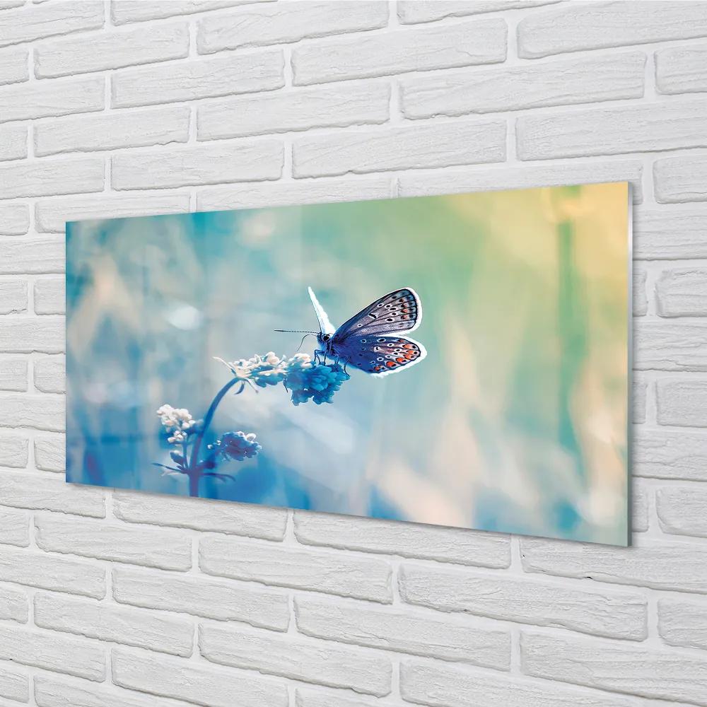 Quadro in vetro acrilico Farfalla colorata 100x50 cm