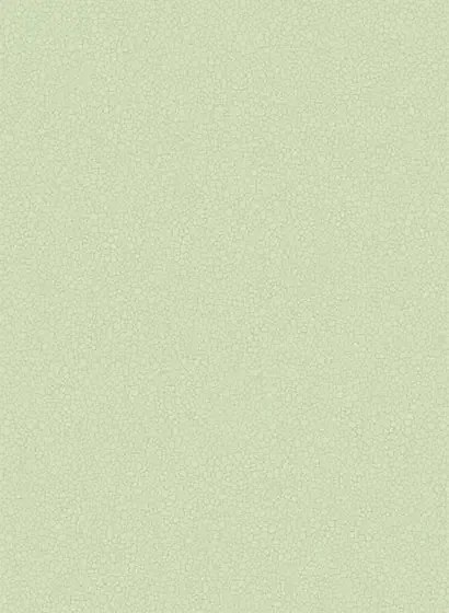 Cole & Son Carta da parati Pebble - Duck Egg