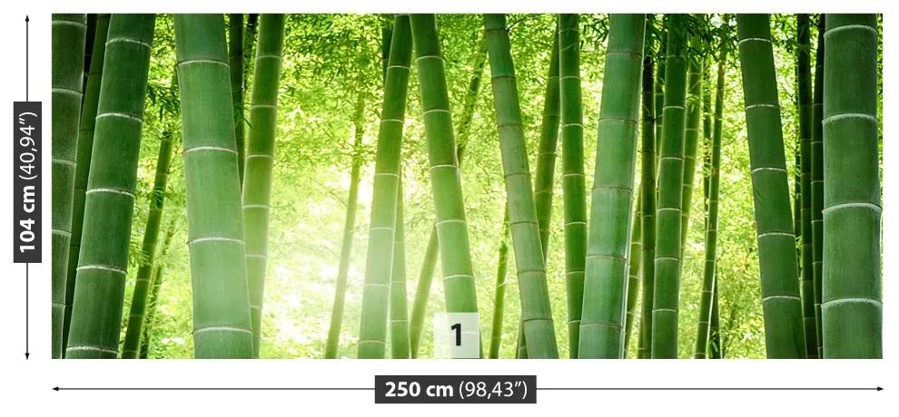 Carta da parati Foresta di bamboo 104x70 cm