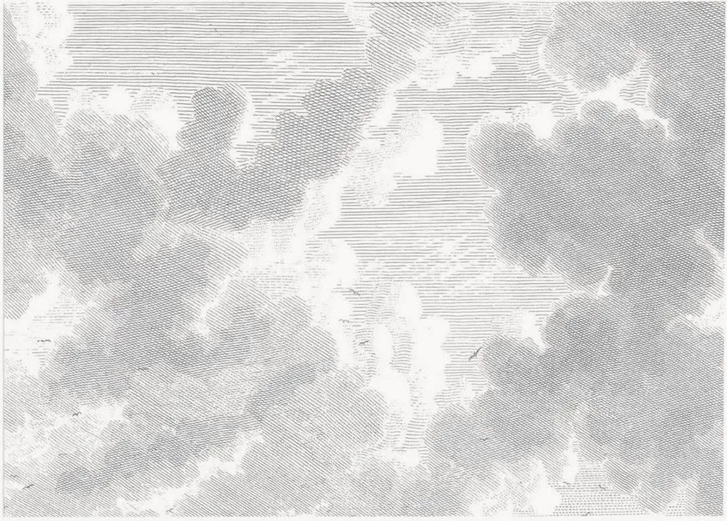 Carta da parati in tessuto non tessuto Engraved Clouds