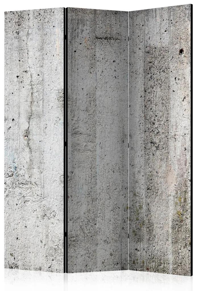 Paravento Imperatore grigio - texture architettonica in cemento grigio
