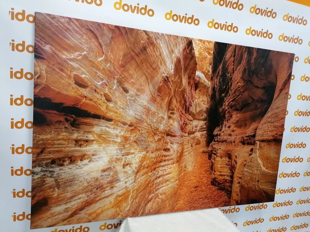 Quadro su tela – Sentiero nel Grand Canyon