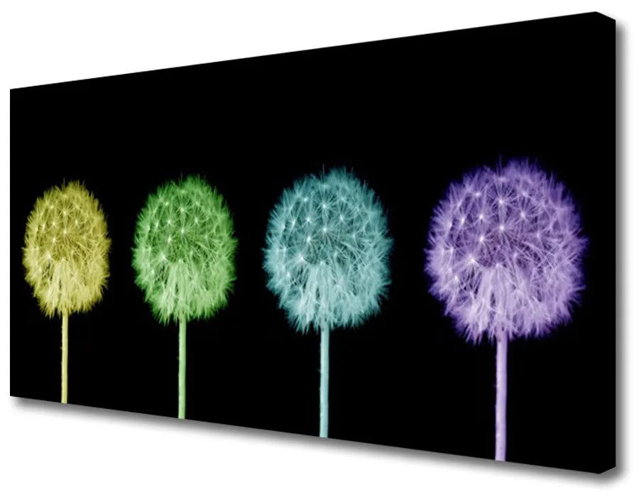 Quadro su tela Pianta di tarassaco 100x50 cm