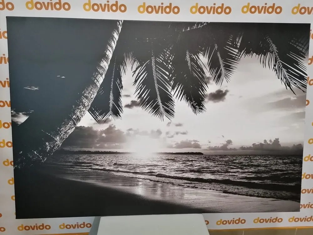 Stampa su tela – Alba sulla spiaggia caraibica in bianco e nero