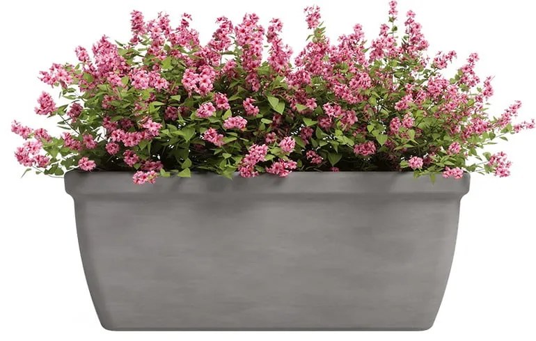 Petto 42 cm Siza - Artevasi