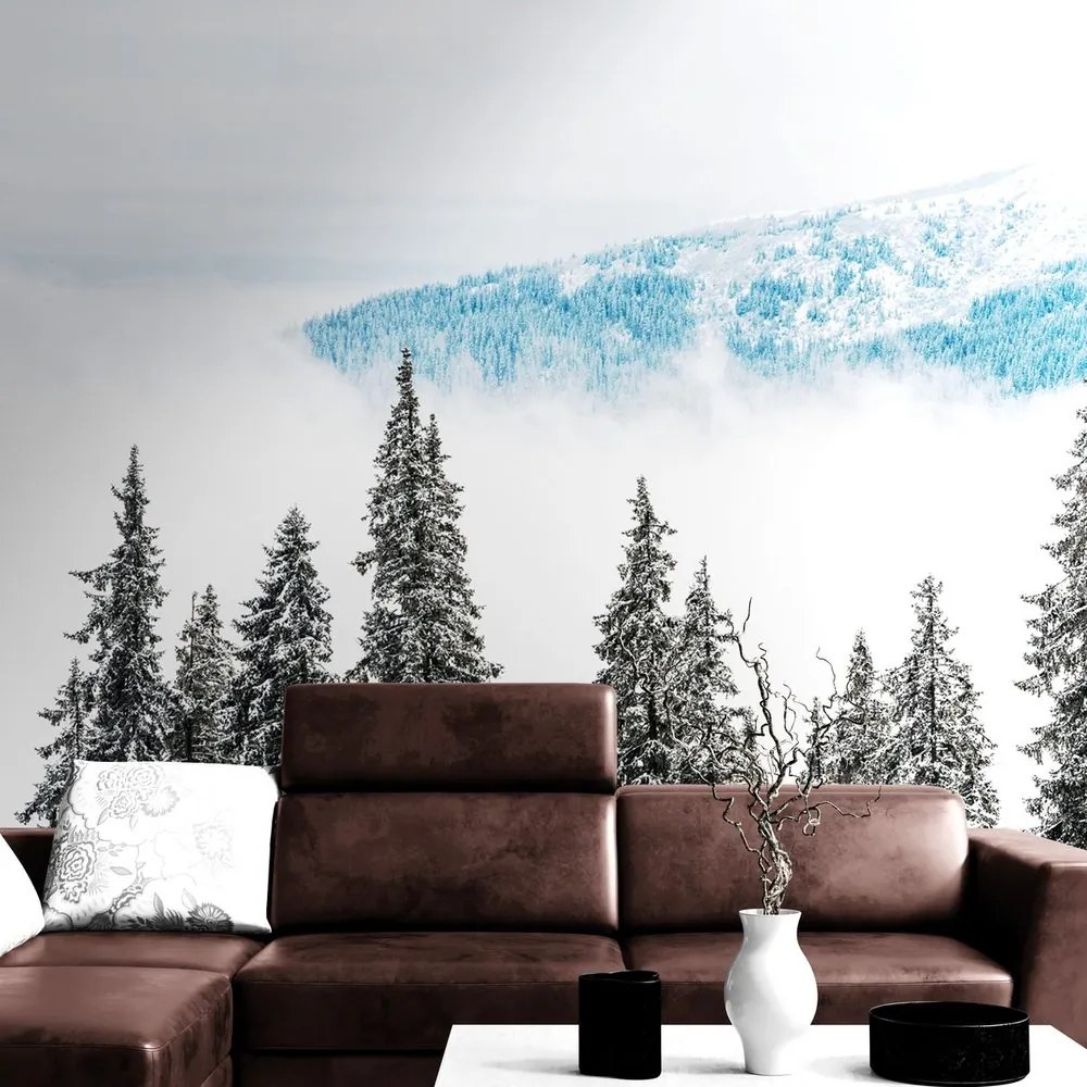 Fotomurale – Alberi di pino innevati