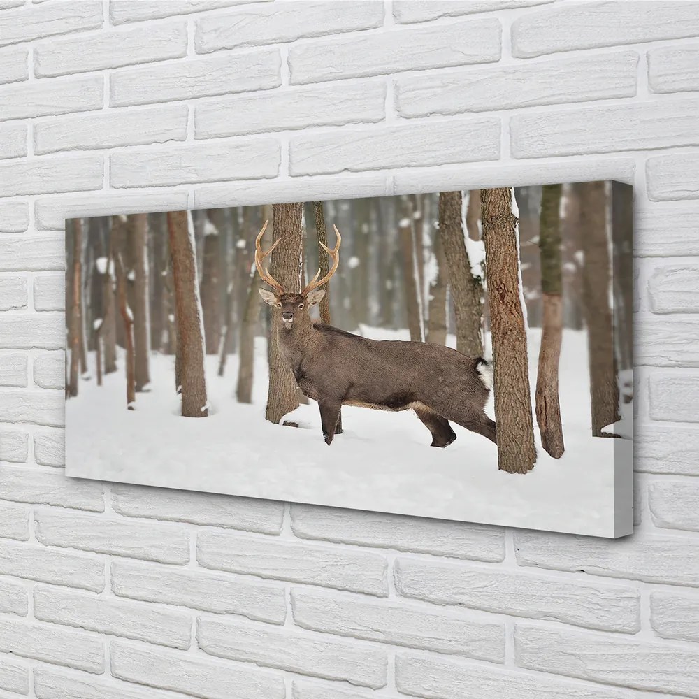 Quadro su tela Foresta invernale Jeleń 100x50 cm