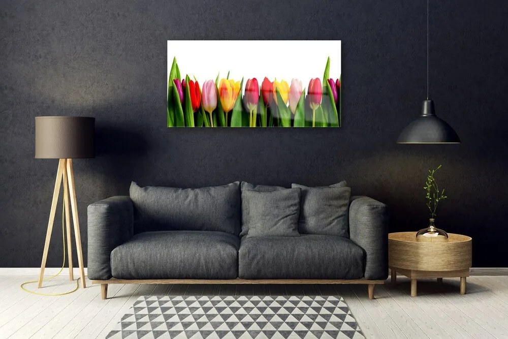 Quadro su vetro acrilico Tulipani Pianta 100x50 cm