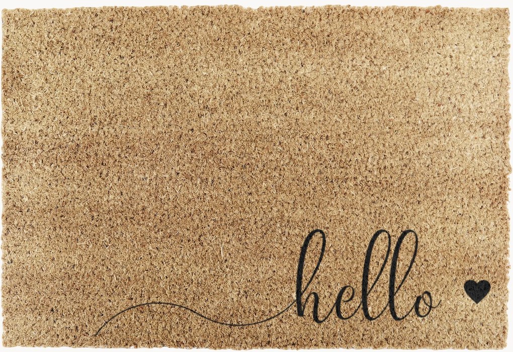 Zerbino Hello Scribble