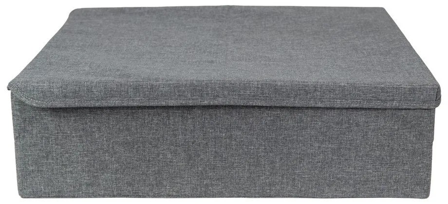 Scatola portaoggetti grigia sotto il letto - Bigso Box of Sweden