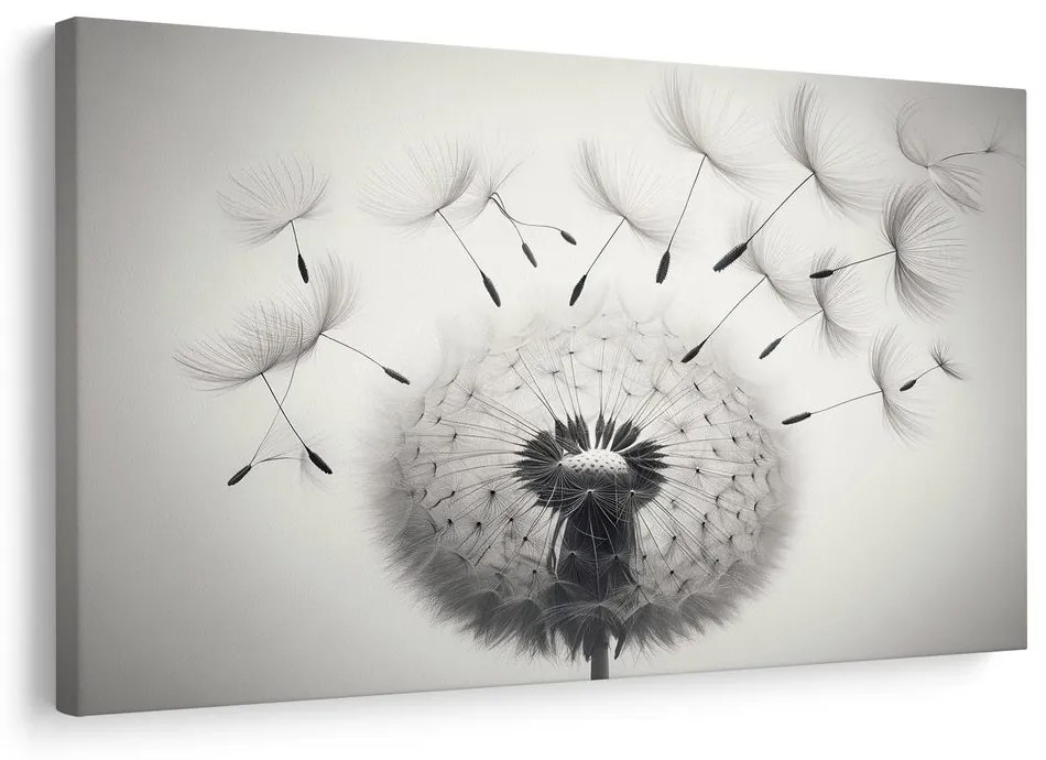 Quadro su tela – Soffione bianco e nero