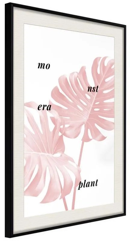 Poster  Pale Pink Monstera  Cornice Quadri Cornice nera con pass-partout, Larghezza x Altezza Home decor 30x45