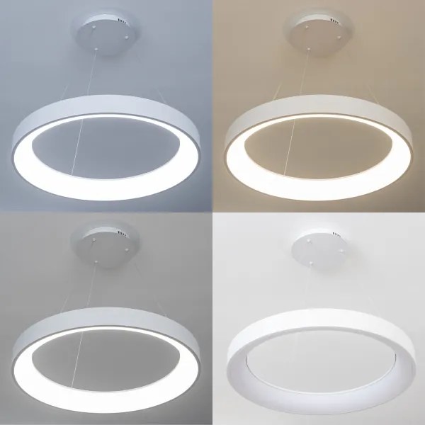 BRILAGI - Lampadario LED dimmerabile su cavo FALCON II LED/99W/230V Ø 60 cm bianco + telecomando