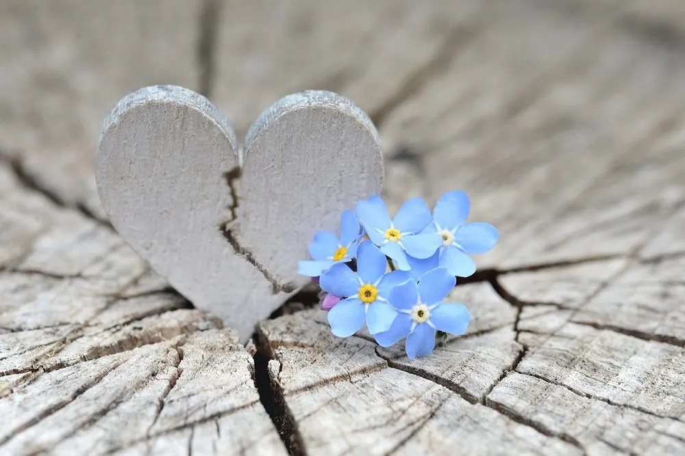 Fotomurale – Cuore su legno antico