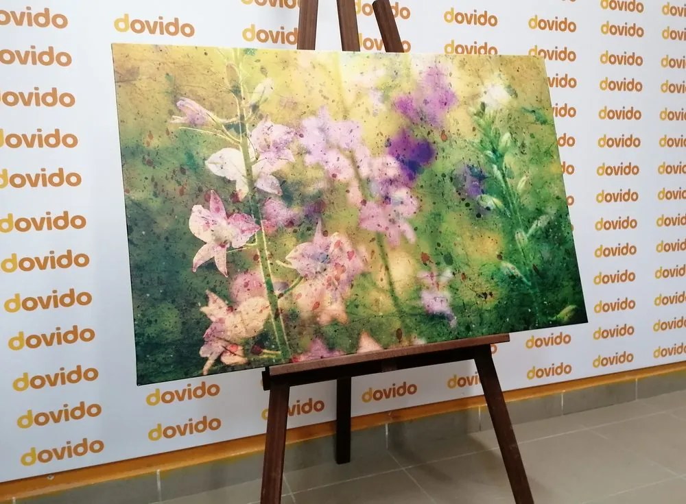 Quadro su tela – Disegno acquerellato di piante di montagna