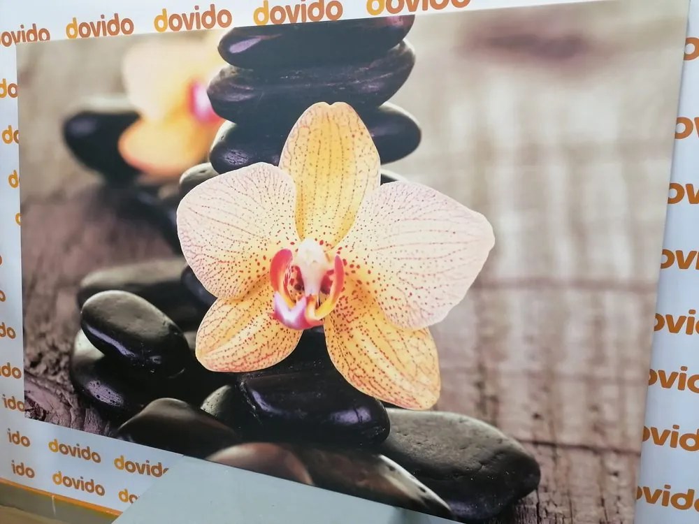 Quadro su tela – Orchidea gialla e pietre Zen