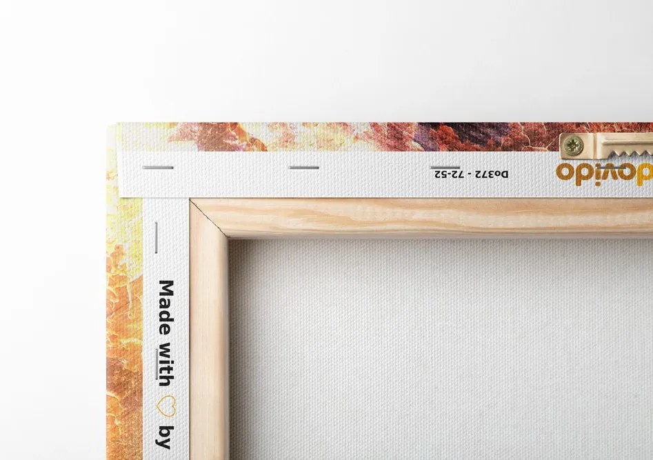 Quadro su tela – Volto del leone