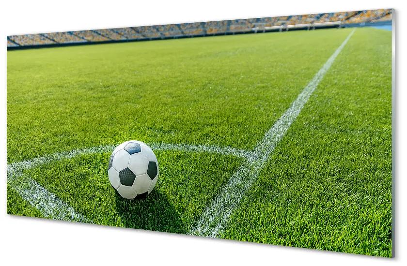 Pannello paraschizzi cucina Stadio di calcio in erba 100x50 cm