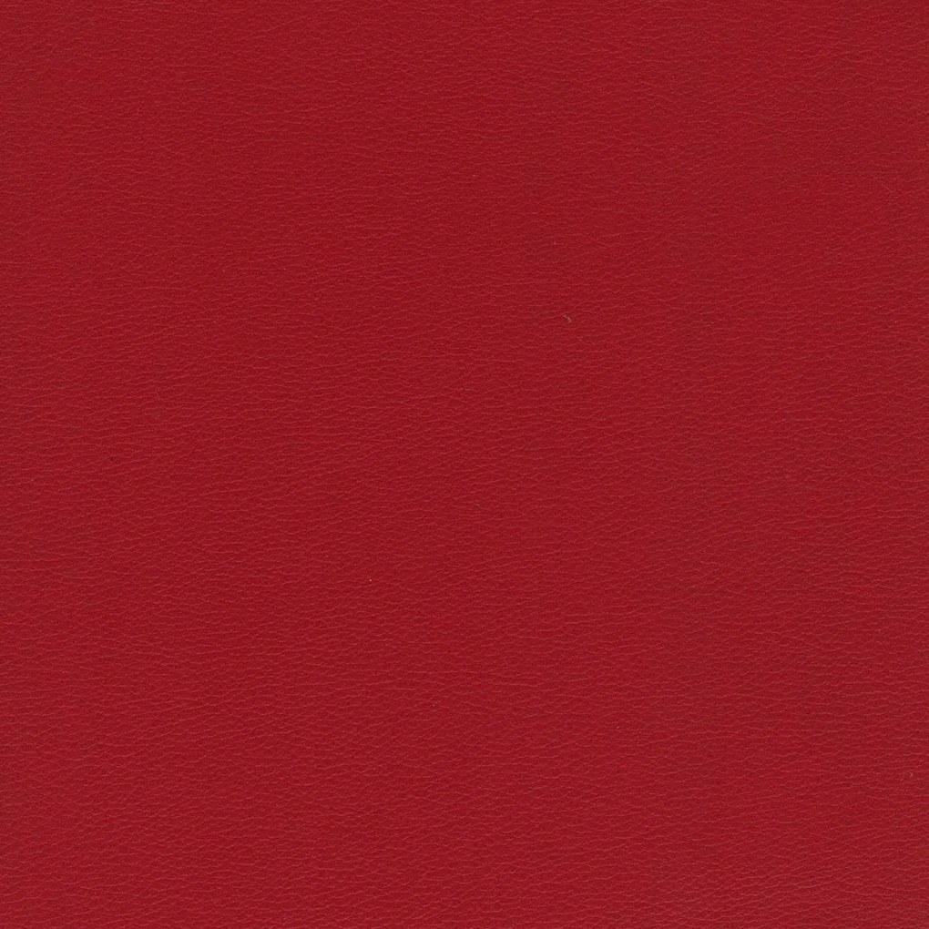 Florida cuscino disponibile in diversi colori realizzato in ecopelle resistente impermeabile T04 rosso