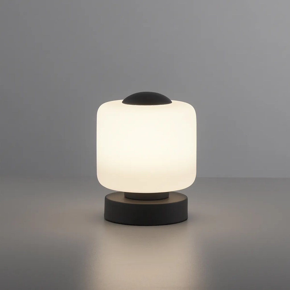 Lampada da tavolo grigio scuro con LED dimmerabile a 3 livelli con touch - Mirko