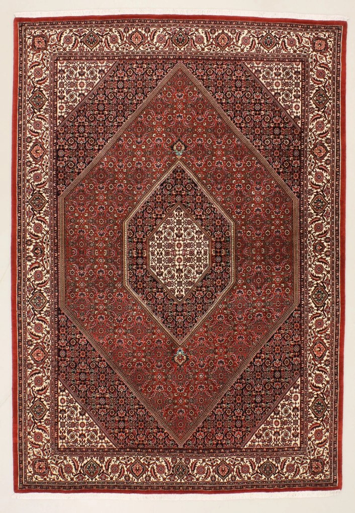 Bidjar Tappeto persiano 250 x 170 (Iran) Annodato A Mano
